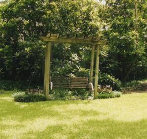 Back Yard Swing